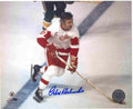 AUTOGRAPHED ALEX DELVECCHIO 8X10 Detroit Red Wings Photo